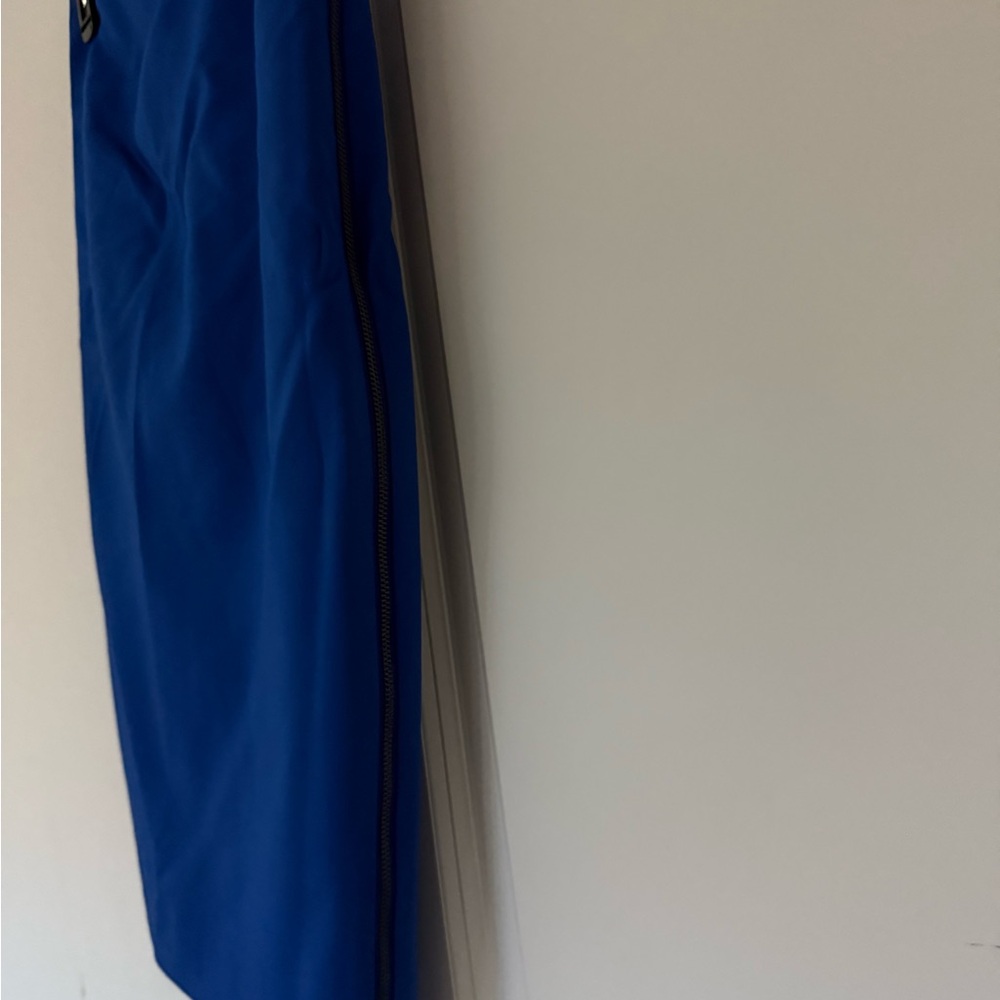 Express Blue Pencil Skirt